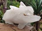 Natural Malagasy Quartz Crystal Clusters x 2 From Madagascar - Toprock Gemstones and Minerals 