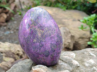 Polished Stichtite Standing Free Forms x 2 From Barberton, South Africa