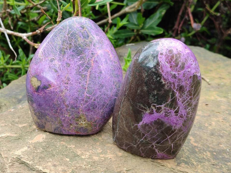 Polished Stichtite Standing Free Forms x 2 From Barberton, South Africa - Toprock Gemstones and Minerals 
