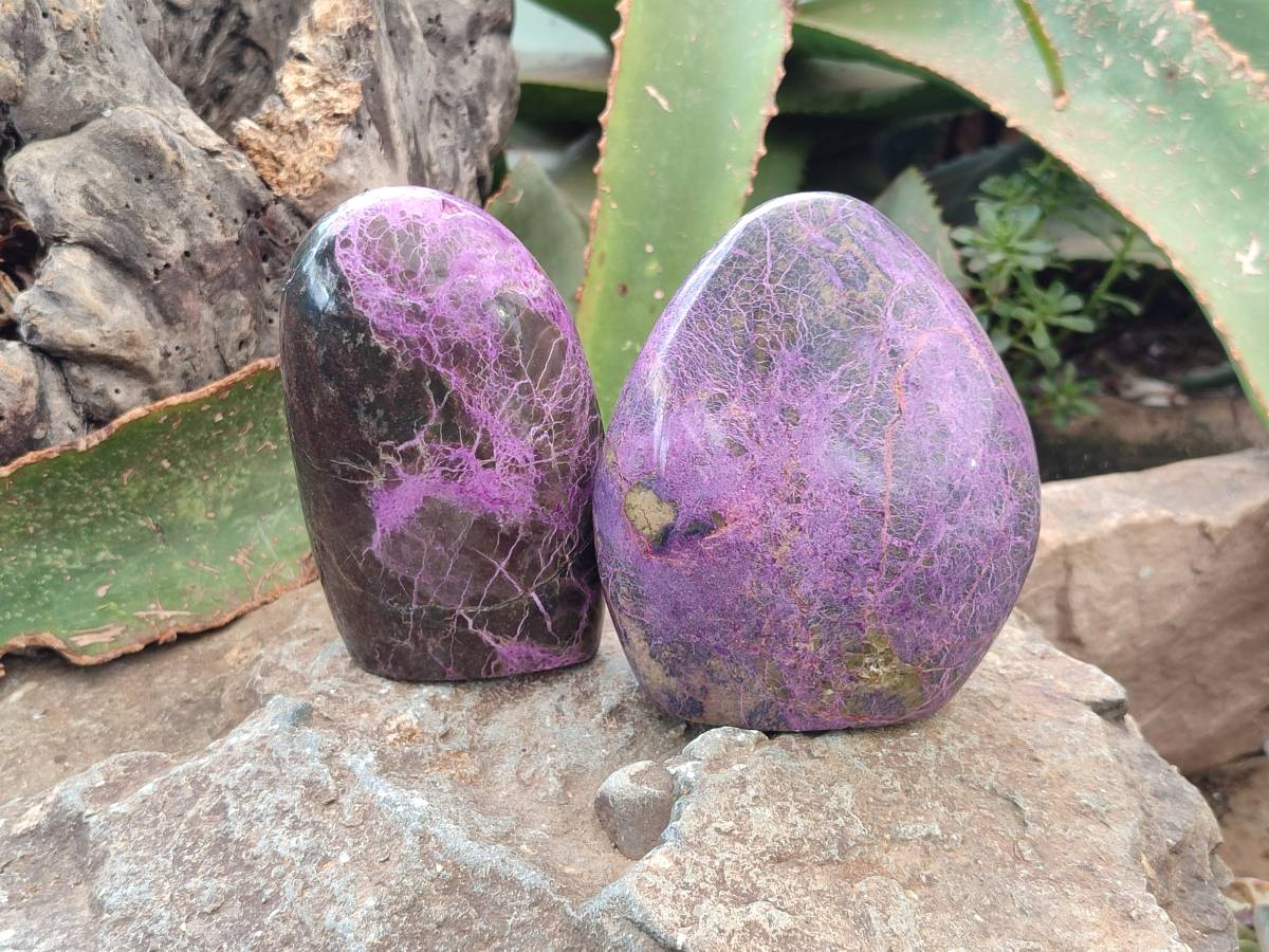 Polished Stichtite Standing Free Forms x 2 From Barberton, South Africa - Toprock Gemstones and Minerals 