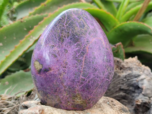 Polished Stichtite Standing Free Forms x 2 From Barberton, South Africa