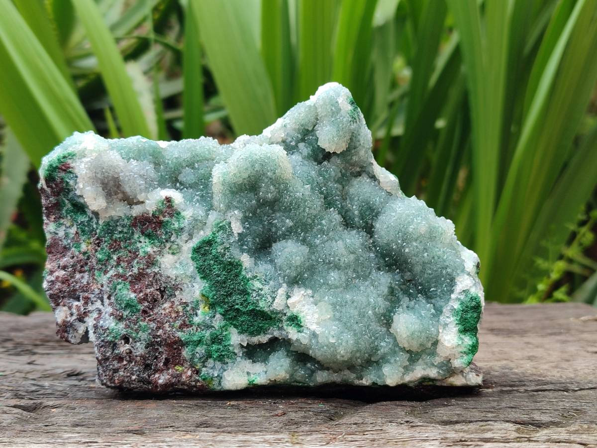 Natural Drusy Ball Malachite On Dolomite Specimens x 3 From Mindingi Mine, Kambove, Congo - Toprock Gemstones and Minerals 