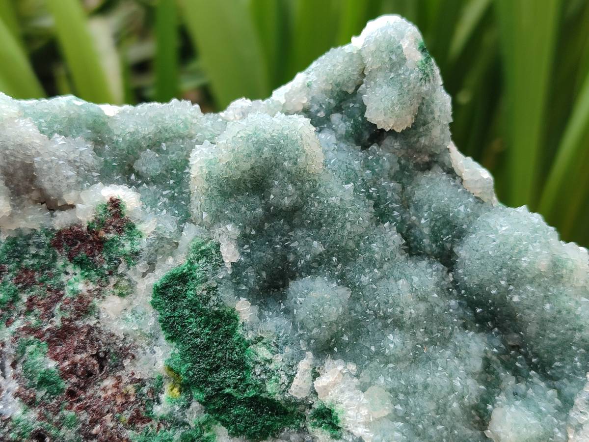 Natural Drusy Ball Malachite On Dolomite Specimens x 3 From Mindingi Mine, Kambove, Congo - Toprock Gemstones and Minerals 