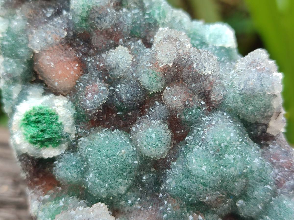 Natural Drusy Ball Malachite On Dolomite Specimens x 3 From Mindingi Mine, Kambove, Congo - Toprock Gemstones and Minerals 