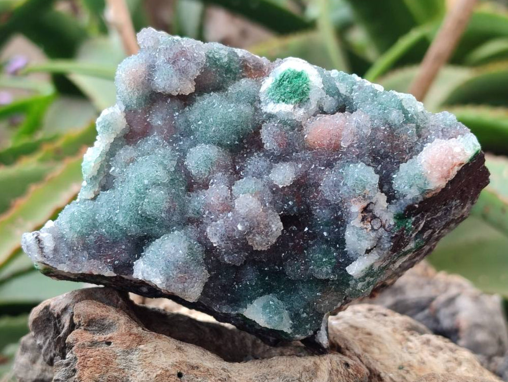 Natural Drusy Ball Malachite On Dolomite Specimens x 3 From Mindingi Mine, Kambove, Congo - Toprock Gemstones and Minerals 