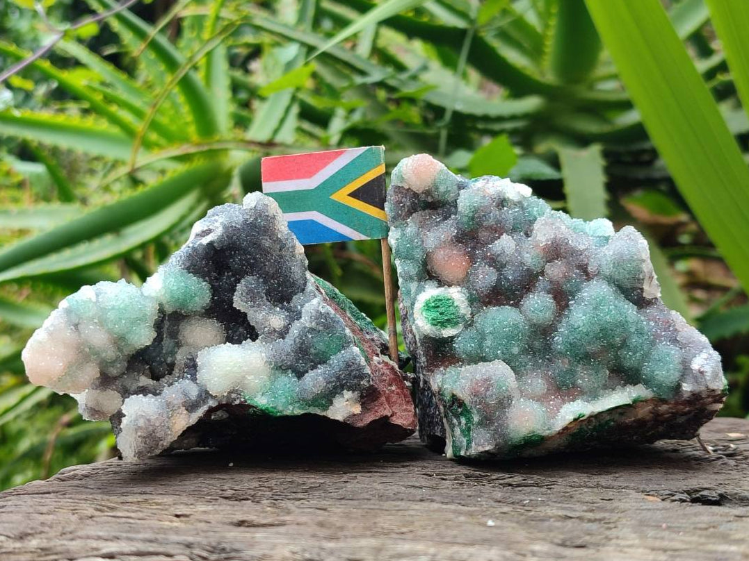 Natural Drusy Ball Malachite On Dolomite Specimens x 3 From Mindingi Mine, Kambove, Congo - Toprock Gemstones and Minerals 