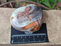 Polished Polychrome Jasper Hearts x 6 From NW Coast, Madagascar