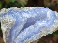 Natural Blue Lace Agate Geode Specimens x 12 From Nsanje, Malawi