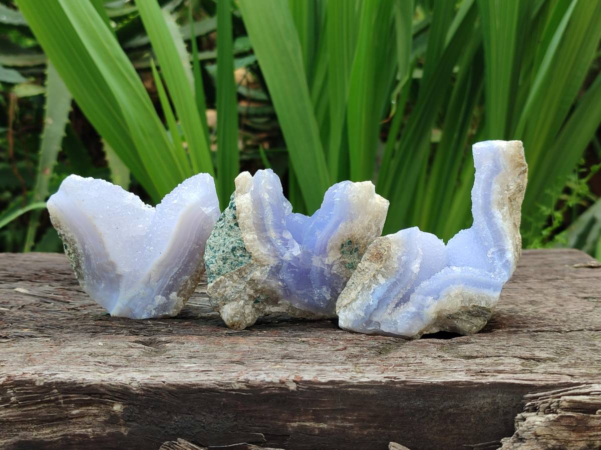 Natural Blue Lace Agate Geode Specimens x 12 From Nsanje, Malawi - Toprock Gemstones and Minerals 