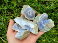 Natural Blue Lace Agate Geode Specimens x 12 From Nsanje, Malawi