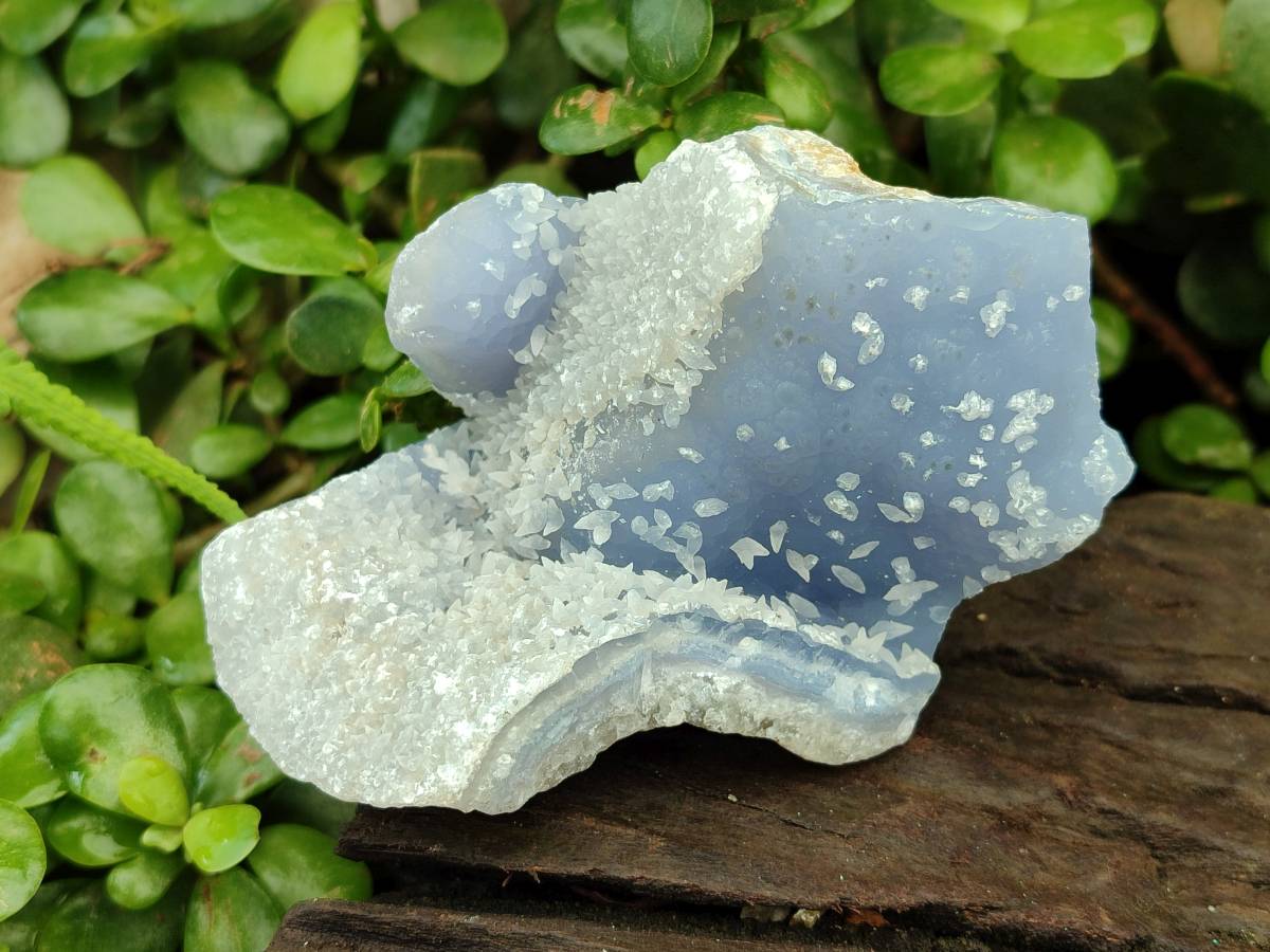 Natural Blue Lace Agate Geode Specimens x 12 From Nsanje, Malawi - Toprock Gemstones and Minerals 