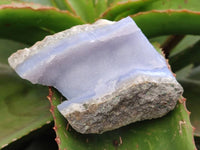 Natural Blue Lace Agate Geode Specimens x 12 From Nsanje, Malawi