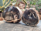 Polished On One Side Petrified Wood Branches x 4 From Gokwe, Zimbabwe - Toprock Gemstones and Minerals 