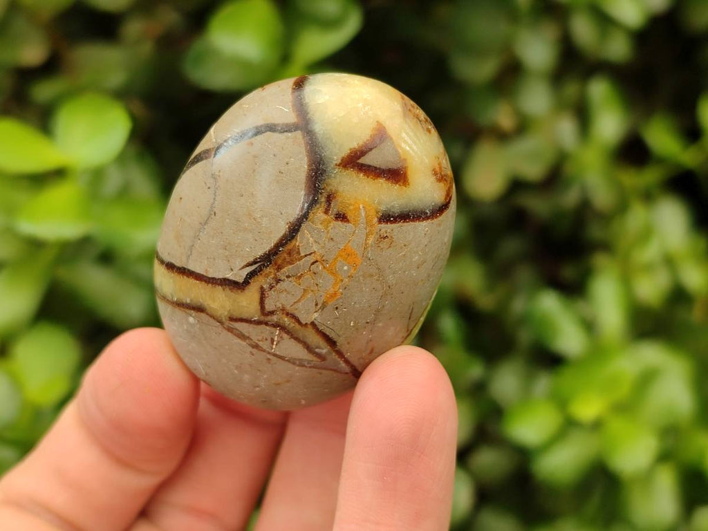 Polished Septerye Galets x 20 From Mahajanga, Madagascar - Toprock Gemstones and Minerals 