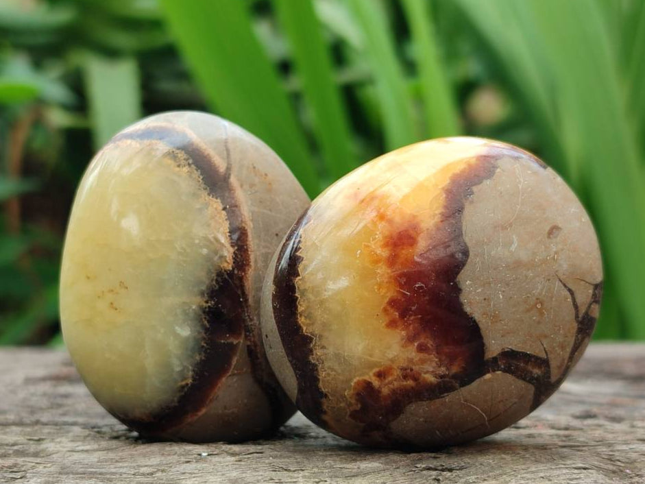 Polished Septerye Galets x 20 From Mahajanga, Madagascar - Toprock Gemstones and Minerals 