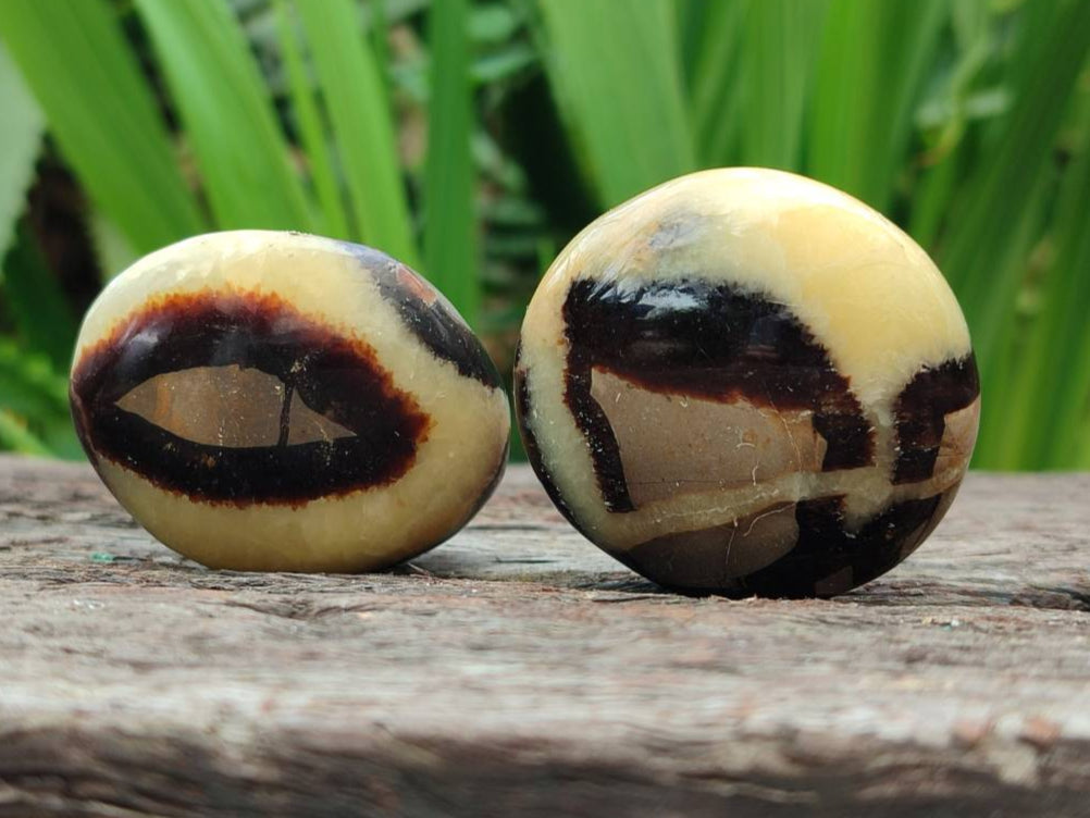 Polished Septerye Galets x 20 From Mahajanga, Madagascar - Toprock Gemstones and Minerals 