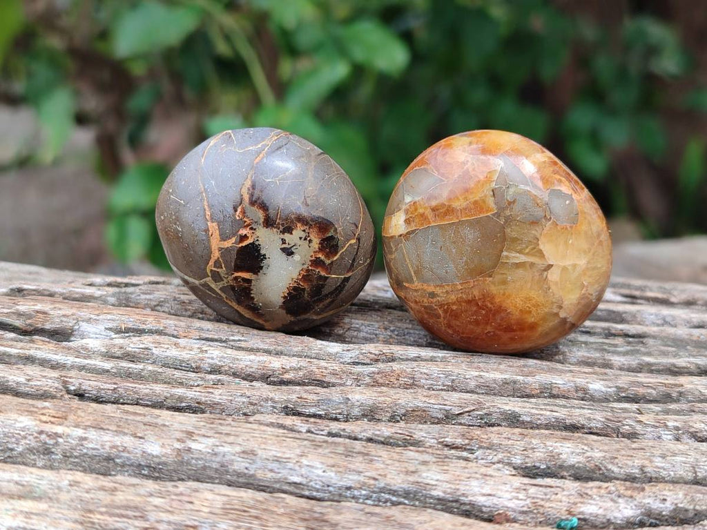 Polished Septerye Galets x 20 From Mahajanga, Madagascar - Toprock Gemstones and Minerals 