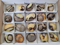 Polished Septerye Galets x 20 From Mahajanga, Madagascar - Toprock Gemstones and Minerals 