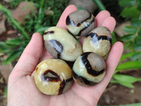 Polished Septerye Galets x 20 From Mahajanga, Madagascar - Toprock Gemstones and Minerals 
