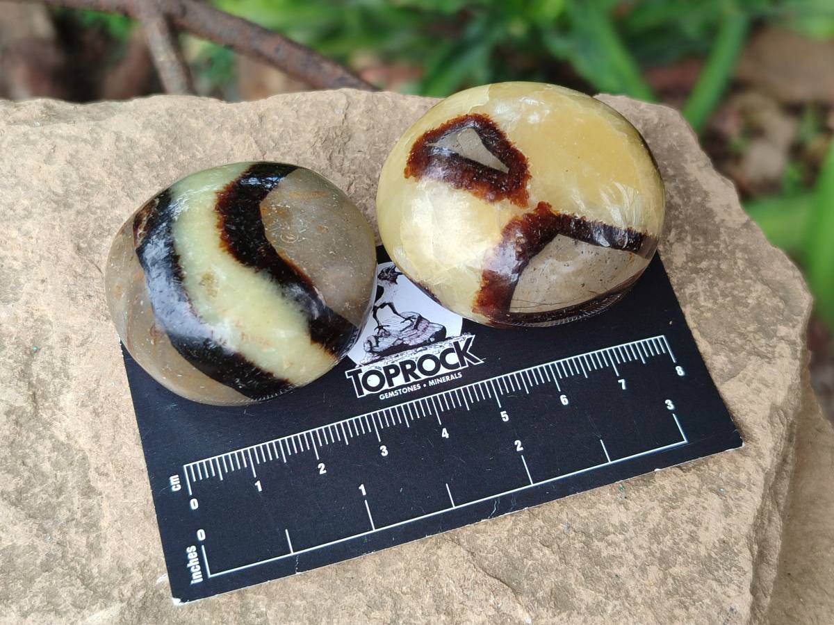 Polished Septerye Galets x 20 From Mahajanga, Madagascar - Toprock Gemstones and Minerals 