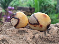 Polished Septerye Galets x 20 From Mahajanga, Madagascar - Toprock Gemstones and Minerals 
