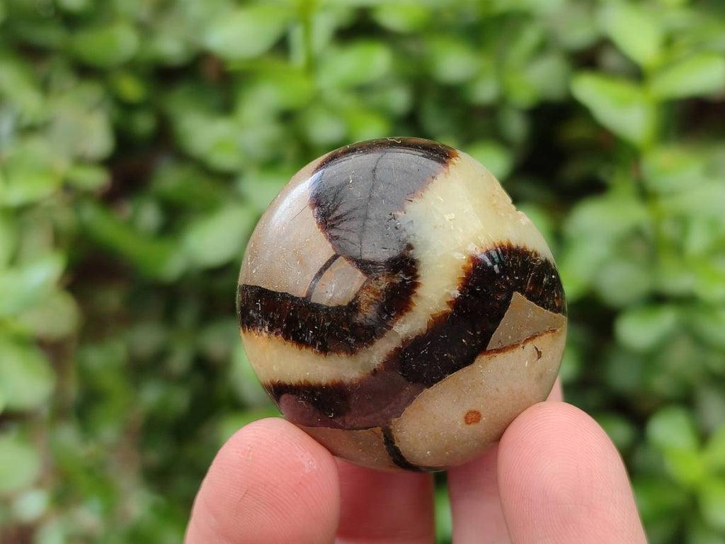 Polished Septerye Galets x 20 From Mahajanga, Madagascar - Toprock Gemstones and Minerals 