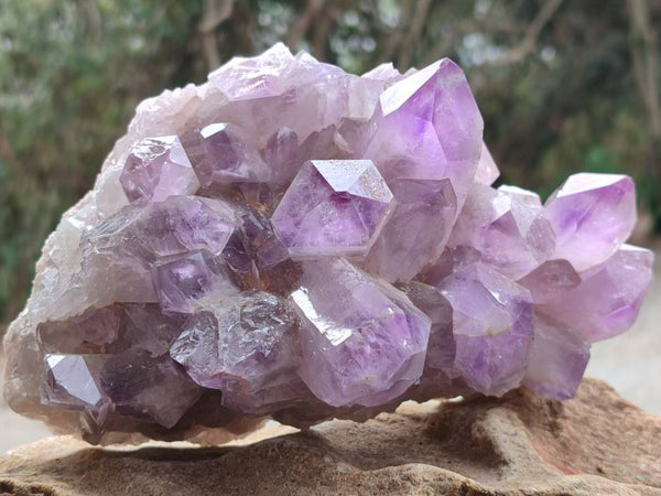 Natural Jacaranda Amethyst Quartz Crystal Clusters x 2 From Mumbwa, Zambia