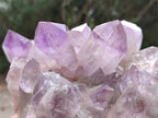 Natural Jacaranda Amethyst Quartz Crystal Clusters x 2 From Mumbwa, Zambia - Toprock Gemstones and Minerals 