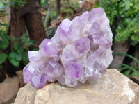 Natural Jacaranda Amethyst Quartz Crystal Clusters x 2 From Mumbwa, Zambia