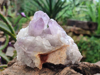 Natural Jacaranda Amethyst Quartz Crystal Clusters x 2 From Mumbwa, Zambia