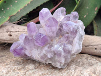 Natural Jacaranda Amethyst Quartz Crystal Clusters x 2 From Mumbwa, Zambia