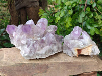Natural Jacaranda Amethyst Quartz Crystal Clusters x 2 From Mumbwa, Zambia