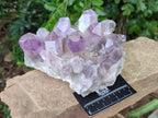 Natural Jacaranda Amethyst Quartz Crystal Clusters x 2 From Mumbwa, Zambia - Toprock Gemstones and Minerals 
