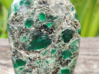 Polished Emerald Mica 'Mutokolite' Standing Free Forms x 6 From Mutoko, Zimbabwe - Toprock Gemstones and Minerals 
