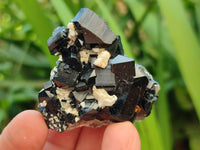 Natural Schorl Black Tourmaline with Vermiculite x 12 From Erongo, Namibia