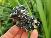 Natural Schorl Black Tourmaline with Vermiculite x 12 From Erongo, Namibia