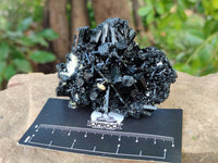 Natural Schorl Black Tourmaline with Vermiculite x 12 From Erongo, Namibia