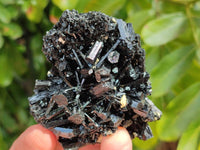 Natural Schorl Black Tourmaline with Vermiculite x 12 From Erongo, Namibia