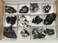 Natural Schorl Black Tourmaline with Vermiculite x 12 From Erongo, Namibia