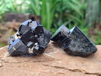 Natural Schorl Black Tourmaline with Vermiculite x 12 From Erongo, Namibia