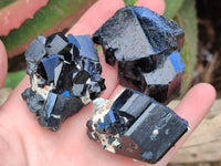 Natural Schorl Black Tourmaline with Vermiculite x 12 From Erongo, Namibia