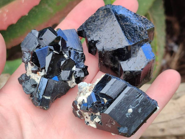 Natural Schorl Black Tourmaline with Vermiculite x 12 From Erongo, Namibia