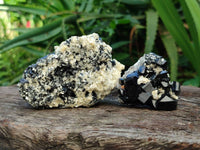 Natural Schorl Black Tourmaline with Vermiculite x 12 From Erongo, Namibia