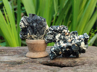 Natural Schorl Black Tourmaline with Vermiculite x 12 From Erongo, Namibia