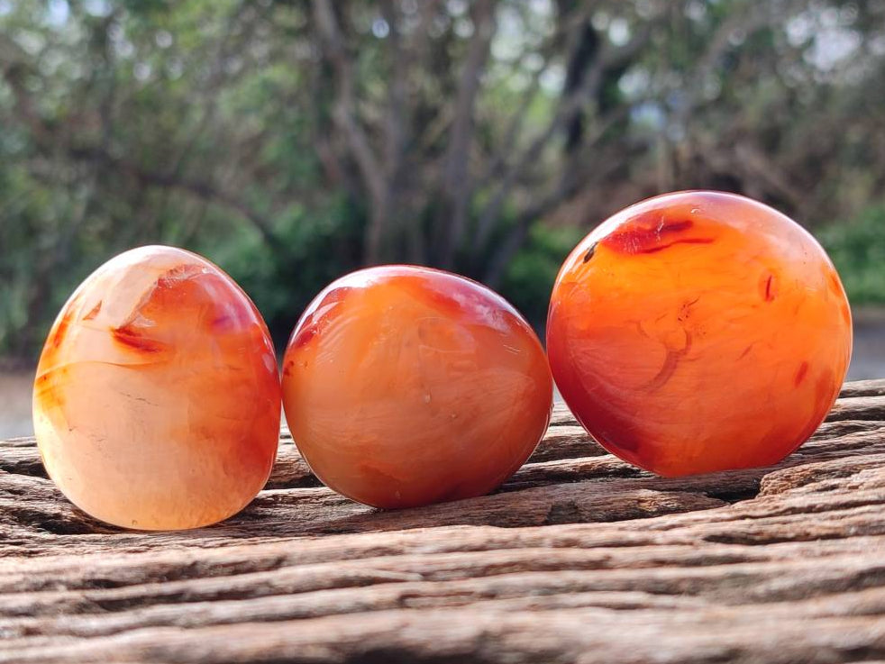 Polished Carnelian Agate Gemstone Galets x 20 From Madagascar - Toprock Gemstones and Minerals 