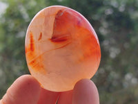 Polished Carnelian Agate Gemstone Galets x 20 From Madagascar