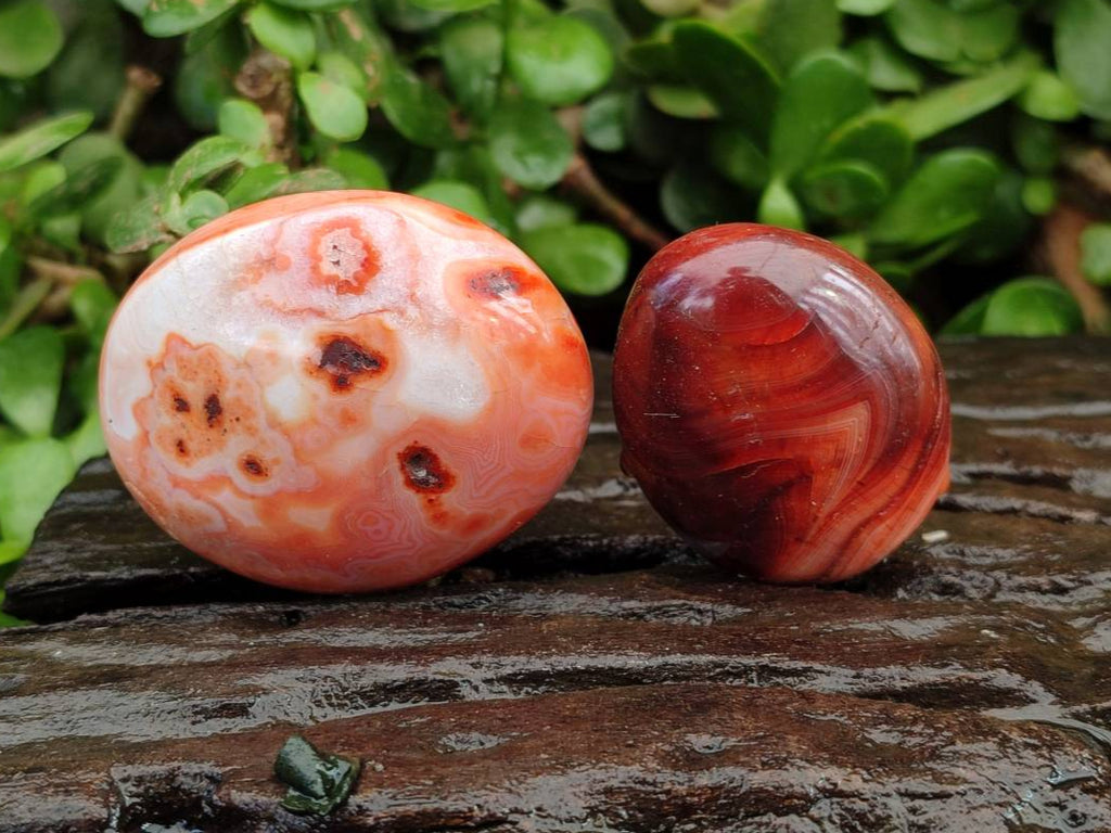 Polished Carnelian Agate Gemstone Galets x 20 From Madagascar - Toprock Gemstones and Minerals 