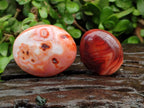 Polished Carnelian Agate Gemstone Galets x 20 From Madagascar - Toprock Gemstones and Minerals 