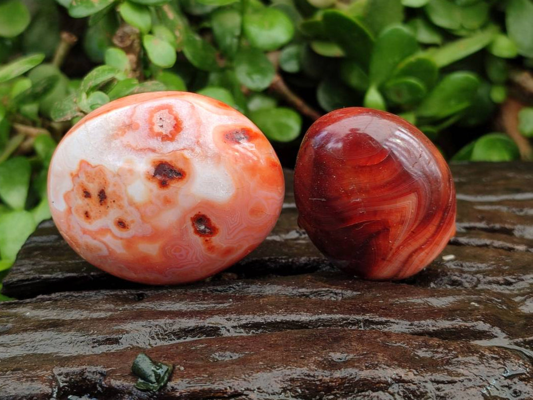 Polished Carnelian Agate Gemstone Galets x 20 From Madagascar - Toprock Gemstones and Minerals 