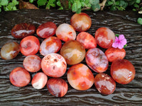 Polished Carnelian Agate Gemstone Galets x 20 From Madagascar